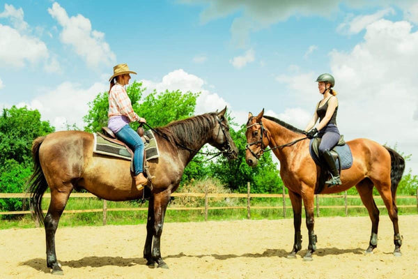 English Riding Tack vs Western Riding Tack: A Complete Guide for Equestrians