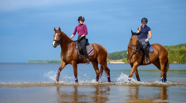 English Riding Tack vs Western Riding Tack