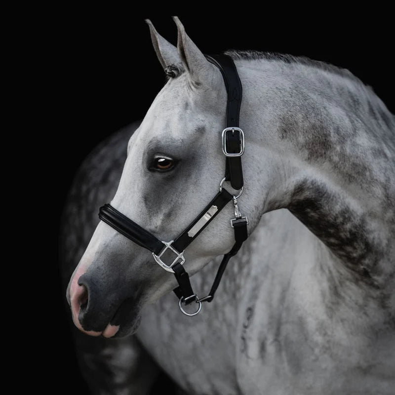 Lumiere-Alize leather horse halter - premium equestrian leather halter"