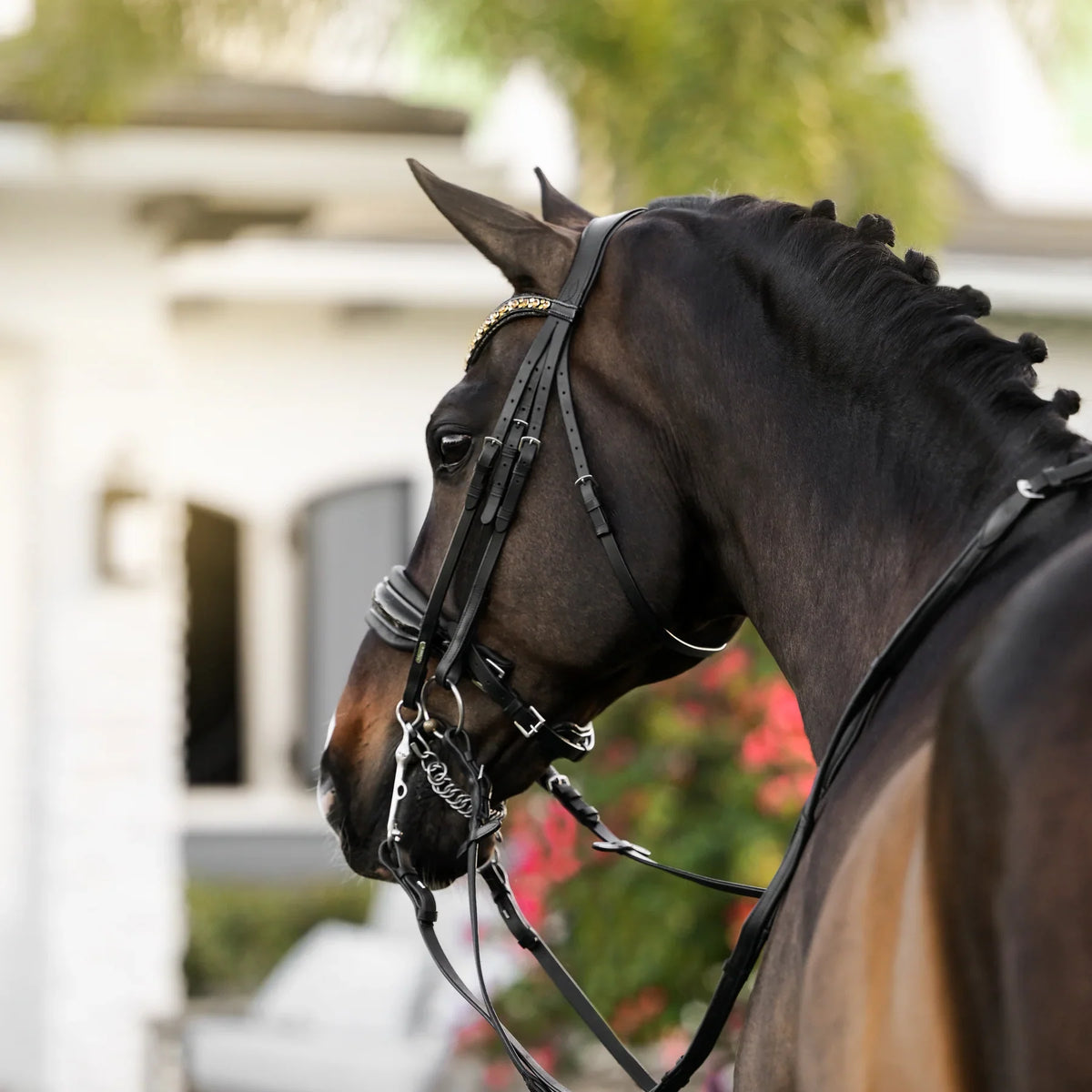 Lumiere-Nappa premium leather horse reins - soft equestrian leather reins