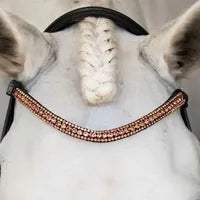 Lumiere-Rose gold browband for horse bridle - elegant equestrian browband"