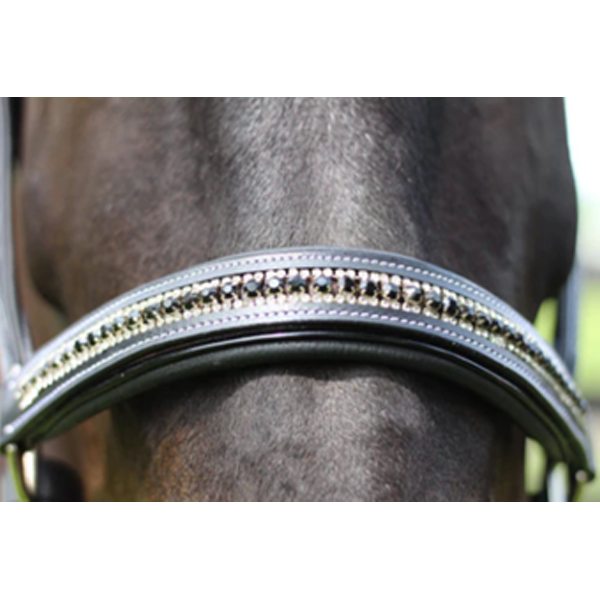 professional equestrian equipment