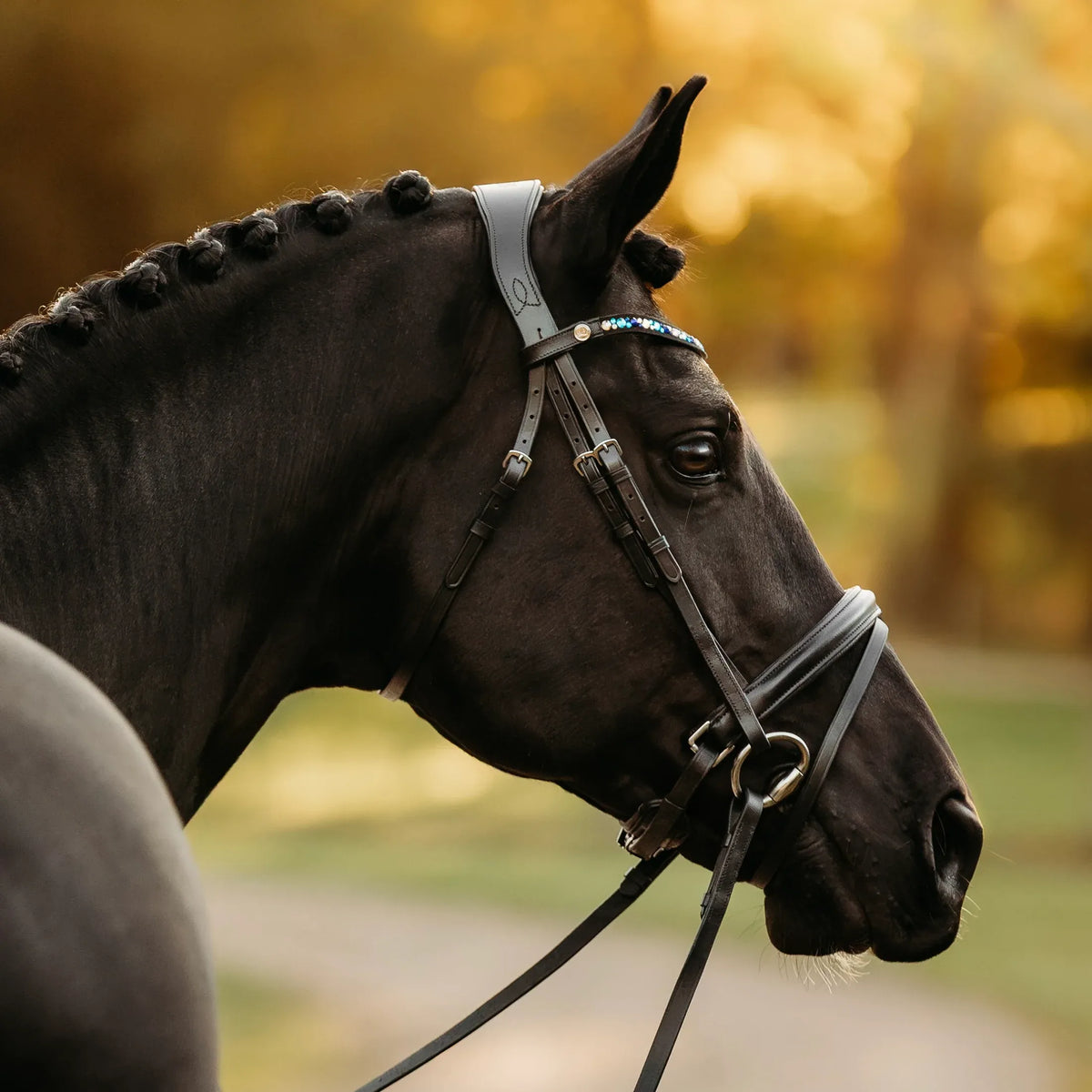 Lumiere-Demi horse bridle - elegant equestrian leather bridle"