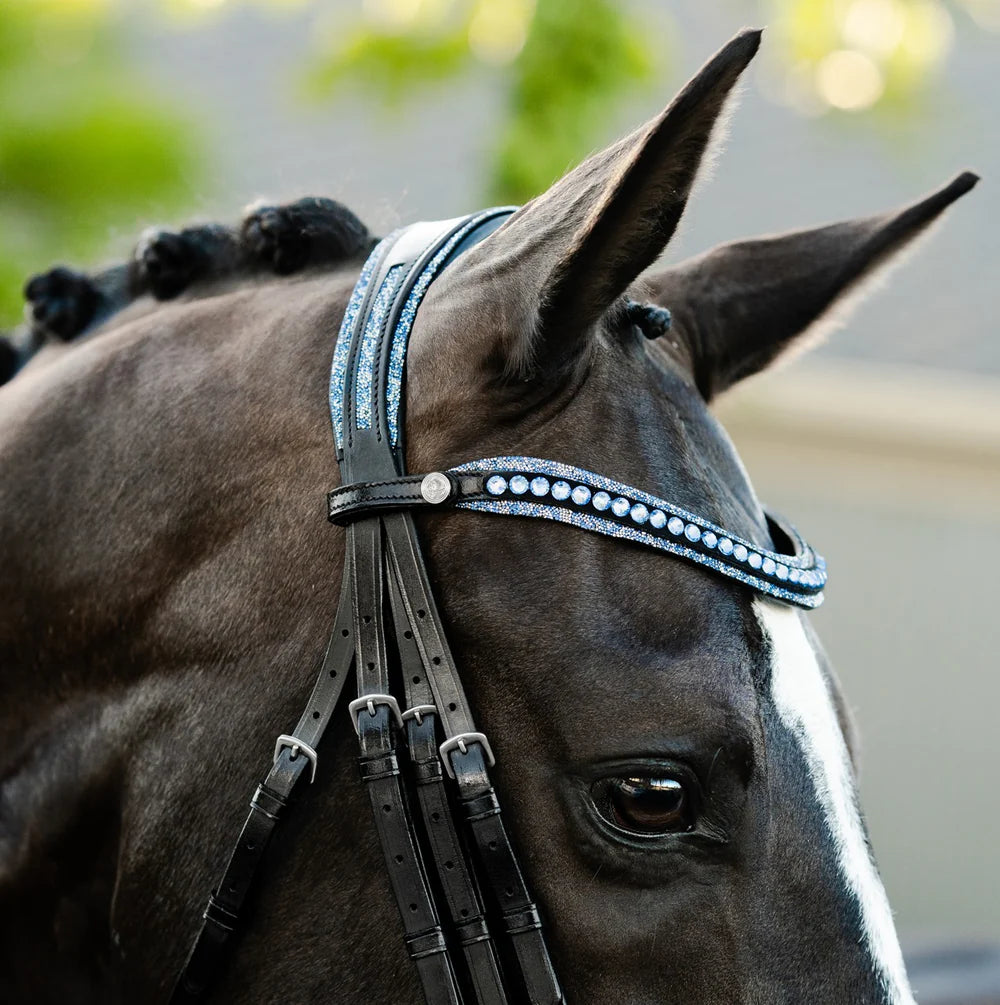 Paris Bridle
